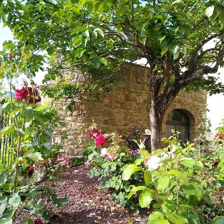Da Vinci Sweet Home Castiglion Fibocchi Bagian luar foto