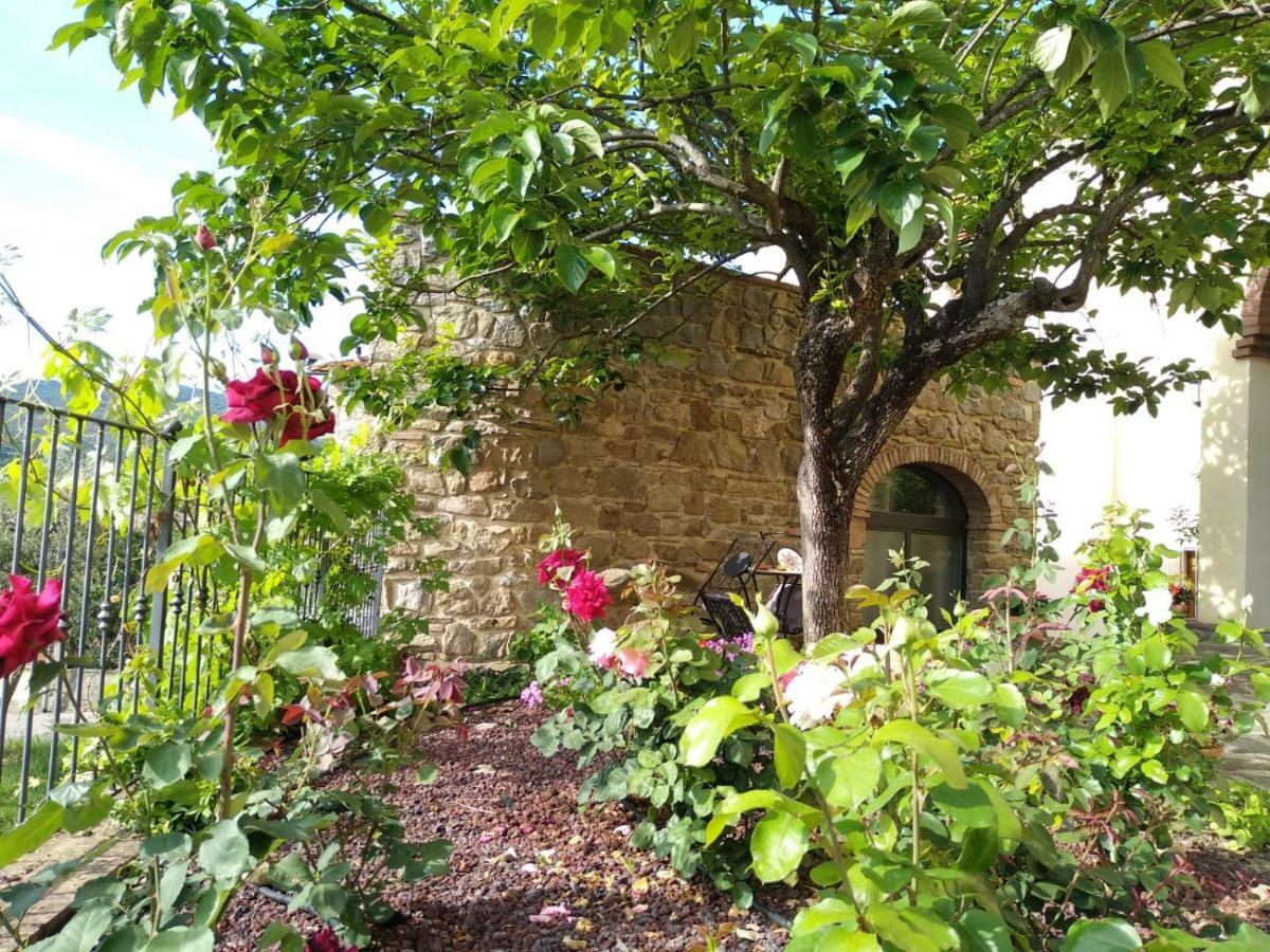 Da Vinci Sweet Home Castiglion Fibocchi Bagian luar foto
